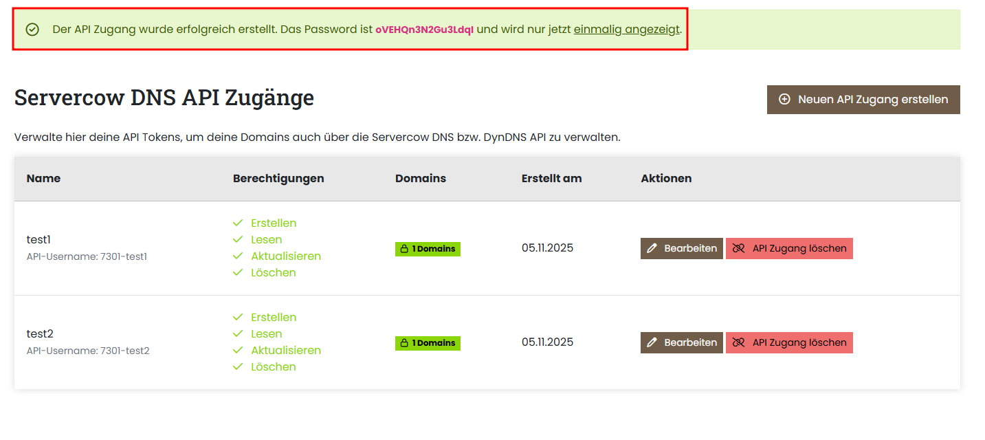 Bestätigungsmeldung mit den Zugangsdaten des neuen DNS API Zugangs