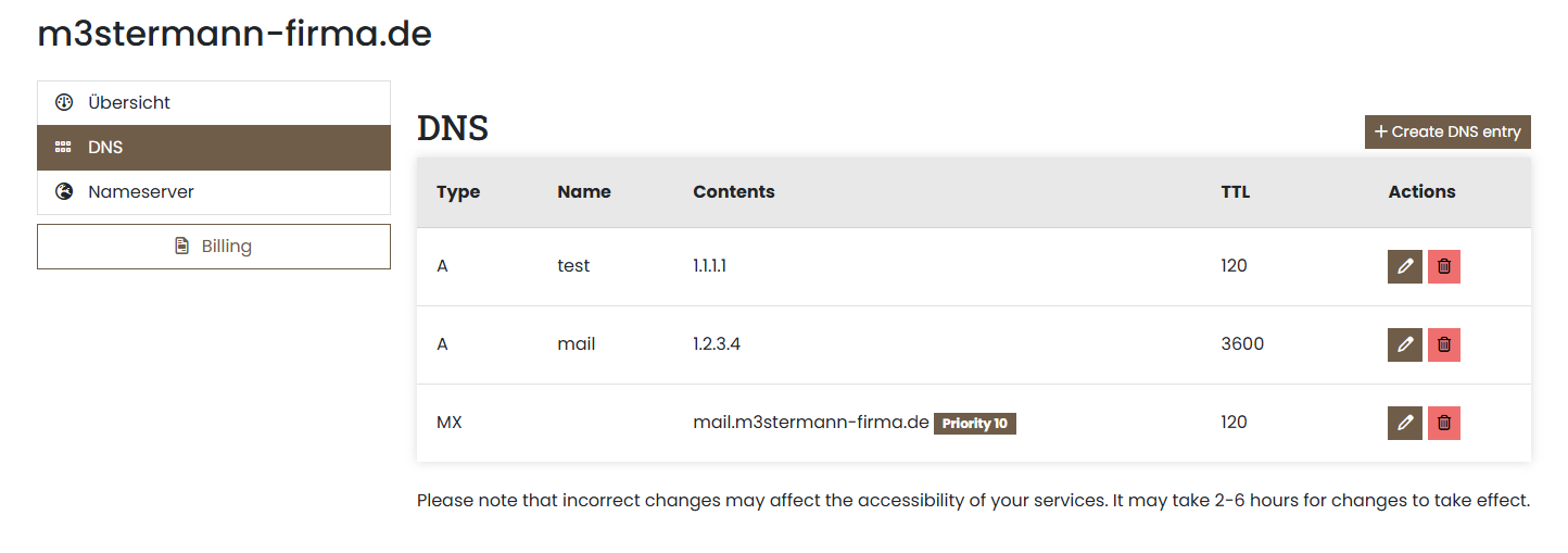 Example view of the DNS editor in the customer portal