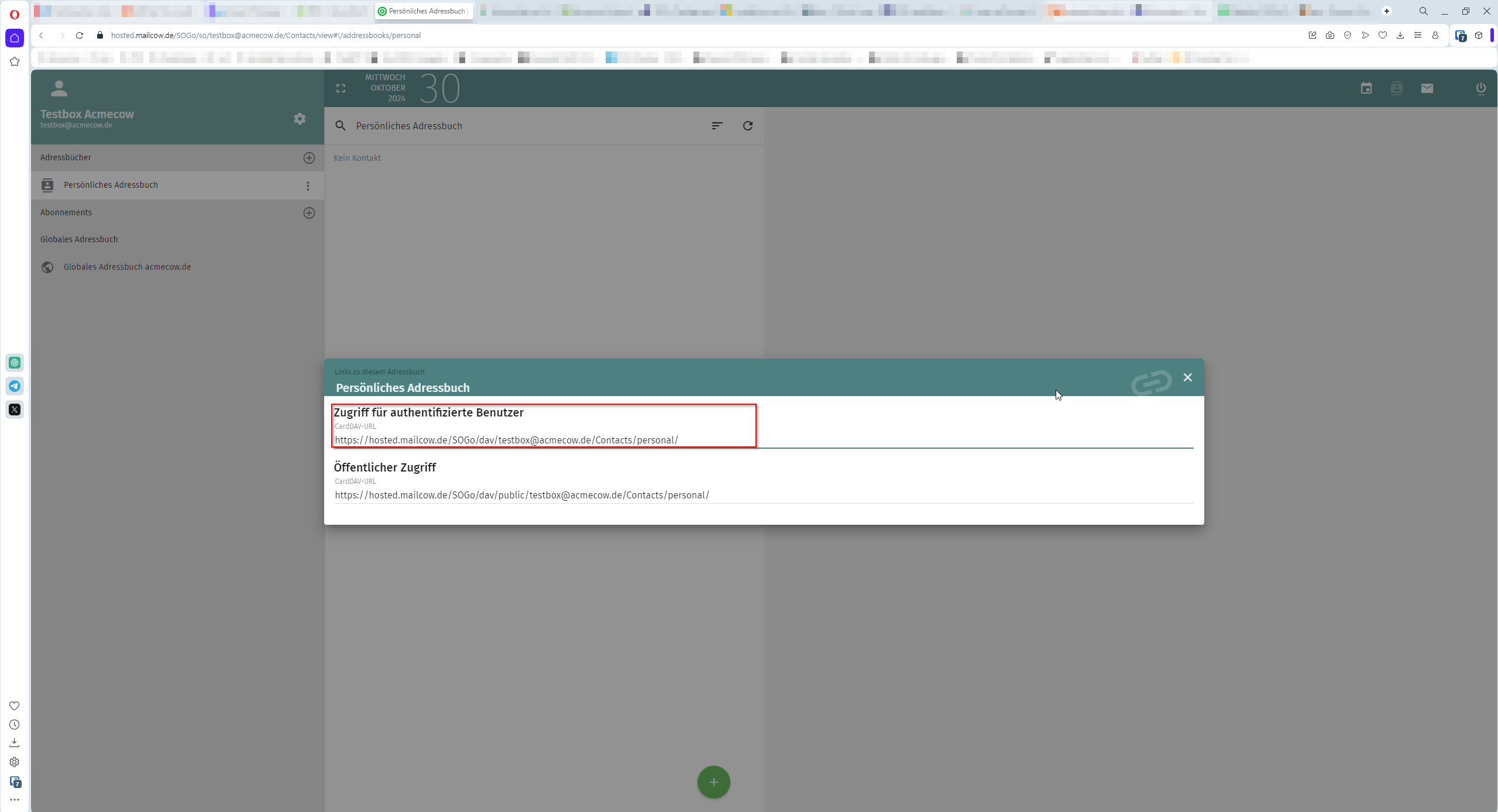 Thunderbird calendar setup assistant. Selection is on "On the Network"